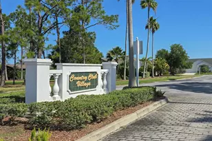 11428 Hidden Cove Ct, Trinity, FL 34655 - Photo 59