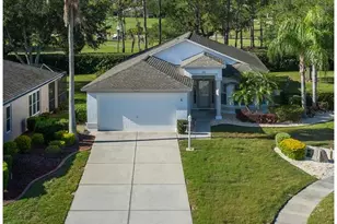 11428 Hidden Cove Ct, Trinity, FL 34655 - Photo 71