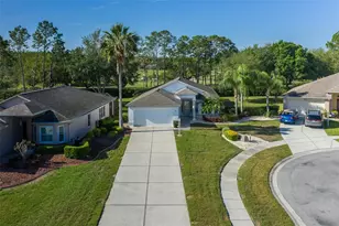 11428 Hidden Cove Ct, Trinity, FL 34655 - Photo 59