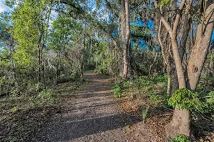 36419 Flats St, Zephyrhills, FL 33541 - Photo 67