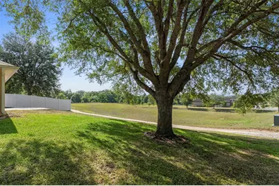 7228 Crested Orchid Drive, Brooksville, FL 34602 - Photo 35