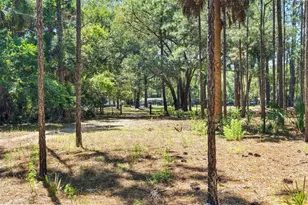 7845 N Flame Vine Way, Crystal River, FL 34428 - Photo 81