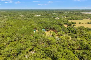 7845 N Flame Vine Way, Crystal River, FL 34428 - Photo 85
