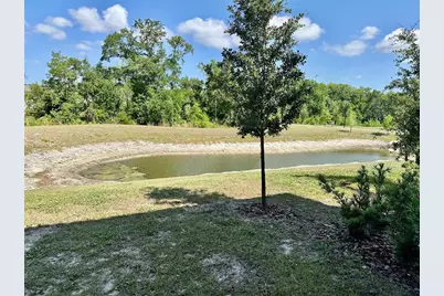10981 Wishing Cloud Road, Land O Lakes, FL 34638 - Photo 33