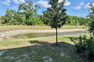 10981 Wishing Cloud Rd, Land O Lakes, FL 34638 - Photo 33
