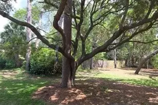 8056 Chaucer Dr, Weeki Wachee, FL 34607 - Photo 57