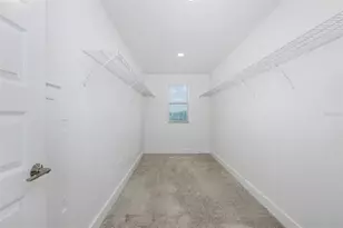 8598 Campus Woods Way, New Port Richey, FL 34655 - Photo 33
