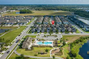 8598 Campus Woods Way, New Port Richey, FL 34655 - Photo 51