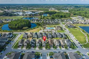 8598 Campus Woods Way, New Port Richey, FL 34655 - Photo 43