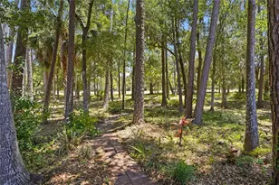 3071 Bolt Dr, Palm Harbor, FL 34685 - Photo 43
