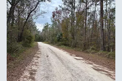 Lot 12 Carolina Dove Road, Brooksville, FL 34614 - Photo 5
