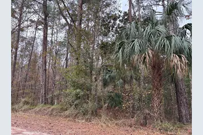 Lot 12 Carolina Dove Road, Brooksville, FL 34614 - Photo 3