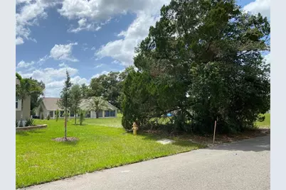 Lot 194 Chestnut Ridge Road, Dade City, FL 33523 - Photo 3