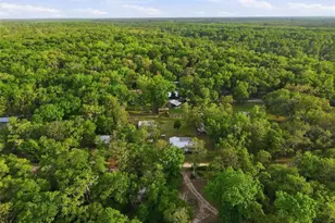 14350 NE 191st St, Fort Mc Coy, FL 32134 - Photo 57
