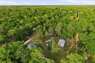 14350 NE 191st St, Fort Mc Coy, FL 32134 - Photo 55