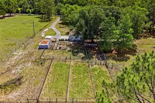 3245 Rackley Rd, Brooksville, FL 34604 - Photo 57