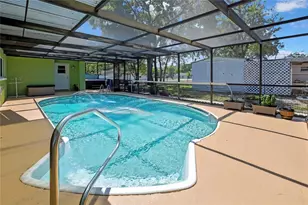 6100 Piedmont Dr, Spring Hill, FL 34606 - Photo 5