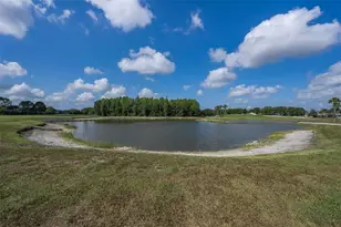 1520 Winding Willow Dr, Trinity, FL 34655 - Photo 45