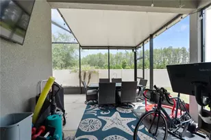 18379 Falling Pine Needle Ln, Land O Lakes, FL 34638 - Photo 25