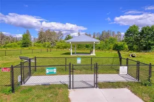 18379 Falling Pine Needle Ln, Land O Lakes, FL 34638 - Photo 45