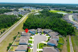 18379 Falling Pine Needle Ln, Land O Lakes, FL 34638 - Photo 33