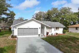 5309 Bayonne Ave, Spring Hill, FL 34608 - Photo 3