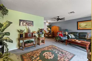10541 Green Meadow Ln, Port Richey, FL 34668 - Photo 5