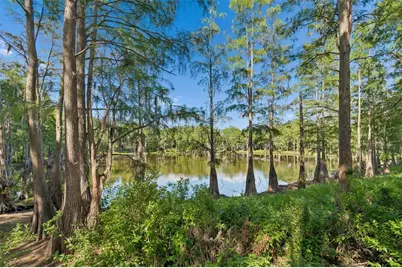 3410 Laurel Dale Drive, Tampa, FL 33618 - Photo 21