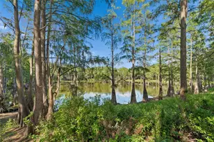 3410 Laurel Dale Dr, Tampa, FL 33618 - Photo 21