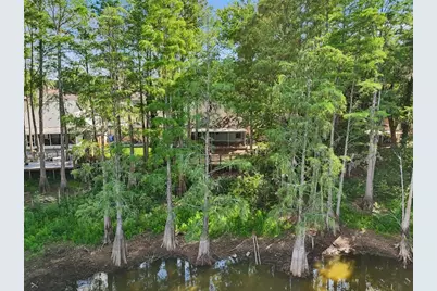 3410 Laurel Dale Drive, Tampa, FL 33618 - Photo 97