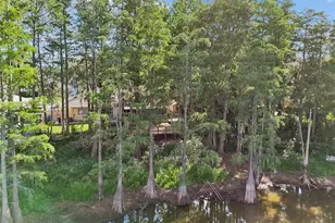 3410 Laurel Dale Dr, Tampa, FL 33618 - Photo 91