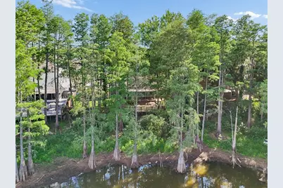 3410 Laurel Dale Drive, Tampa, FL 33618 - Photo 89