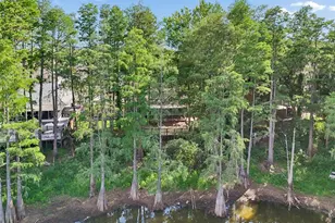 3410 Laurel Dale Dr, Tampa, FL 33618 - Photo 89