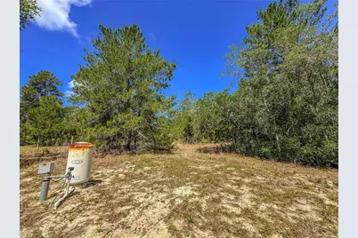8431 Madison Street, Brooksville, FL 34613 - Photo 37