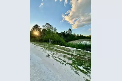 Rapidan Road, Weeki Wachee, FL 34614 - Photo 9
