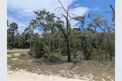 Goldfinch Road, Weeki Wachee, FL 34614 - Photo 9