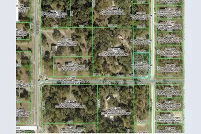 Goldfinch Road, Weeki Wachee, FL 34614 - Photo 3