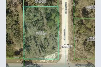 Goldfinch Road, Weeki Wachee, FL 34614 - Photo 1