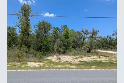 Goldfinch Road, Weeki Wachee, FL 34614 - Photo 5