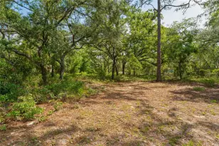 14345 Missouri Skylark Rd, Weeki Wachee, FL 34614 - Photo 33