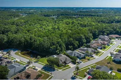 1517 Haverhill Drive, New Port Richey, FL 34655 - Photo 17