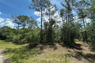 12184 W Arborvitae Pl, Crystal River, FL 34428 - Photo 1
