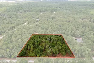 6341 Nile Ave, Webster, FL 33597 - Photo 1