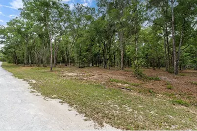 6341 Nile Avenue, Webster, FL 33597 - Photo 5