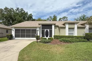 18037 Baywood Forest Dr, Hudson, FL 34667 - Photo 1