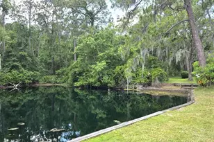1873 Mazo Manor, Lutz, FL 33558 - Photo 39