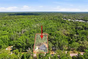 317 NE 13th Terrace, Crystal River, FL 34428 - Photo 51