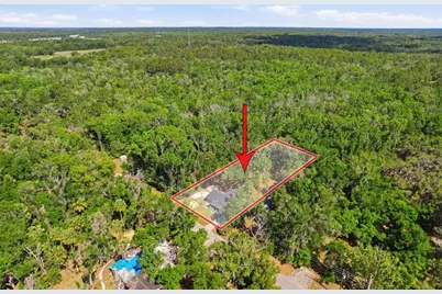 317 NE 13th Terrace, Crystal River, FL 34428 - Photo 3