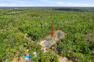 317 NE 13th Terrace, Crystal River, FL 34428 - Photo 3