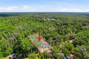 317 NE 13th Terrace, Crystal River, FL 34428 - Photo 59